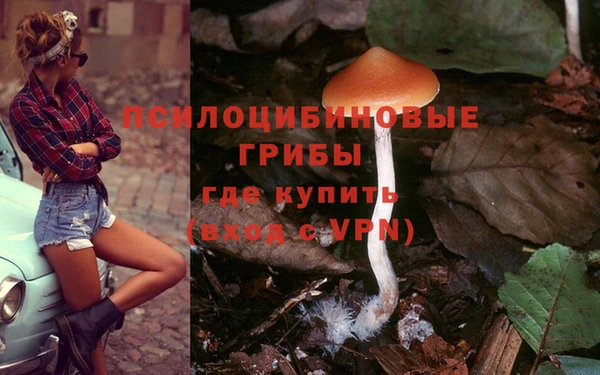 экстази Пестово