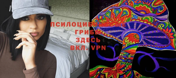 ешки Апатиты